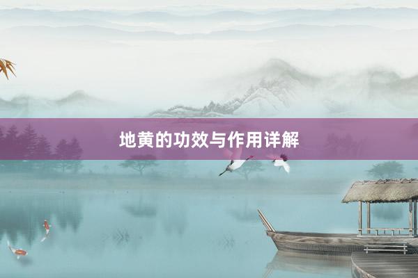 地黄的功效与作用详解